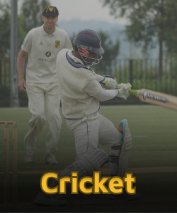 Cricket Jeetwin